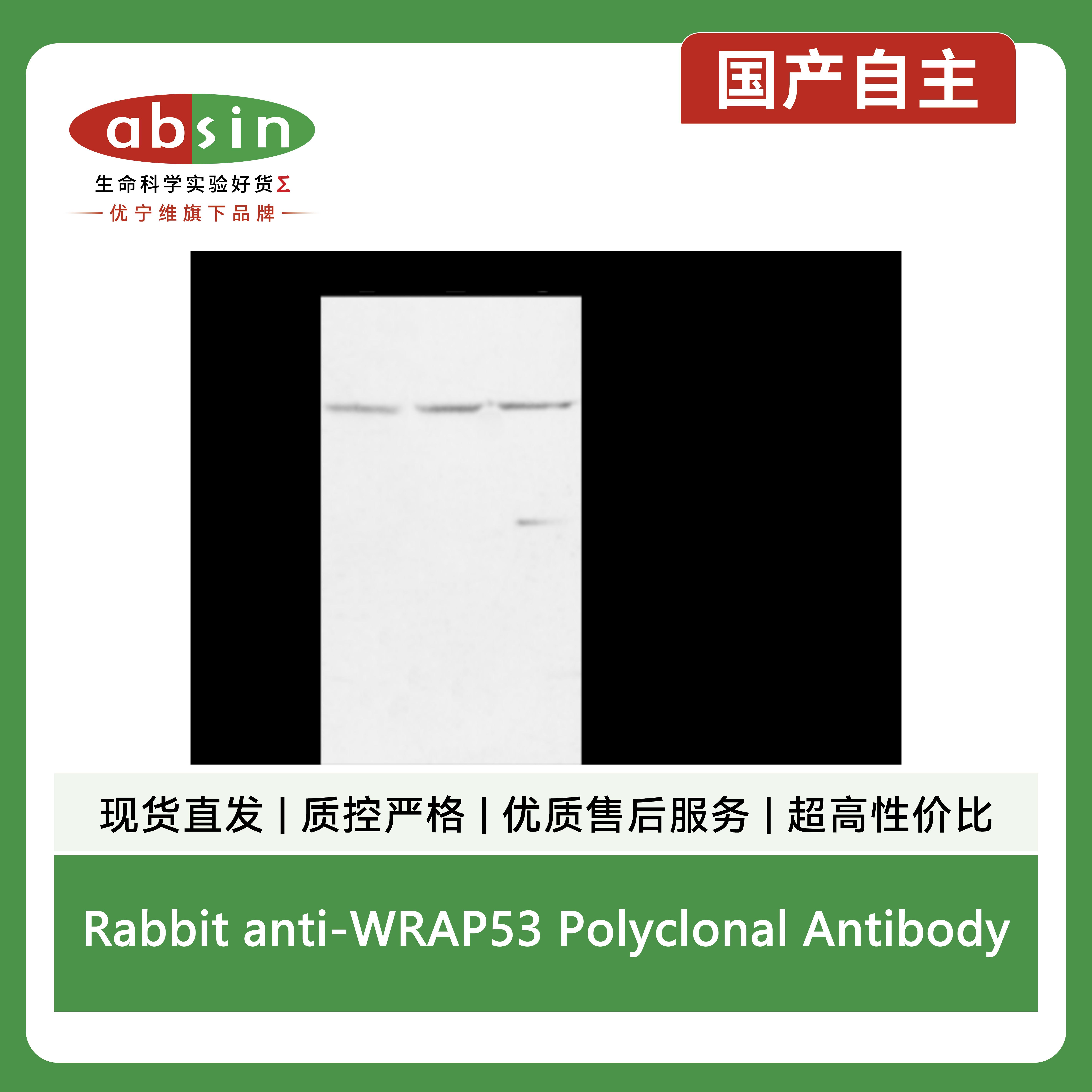 产品细节图片2