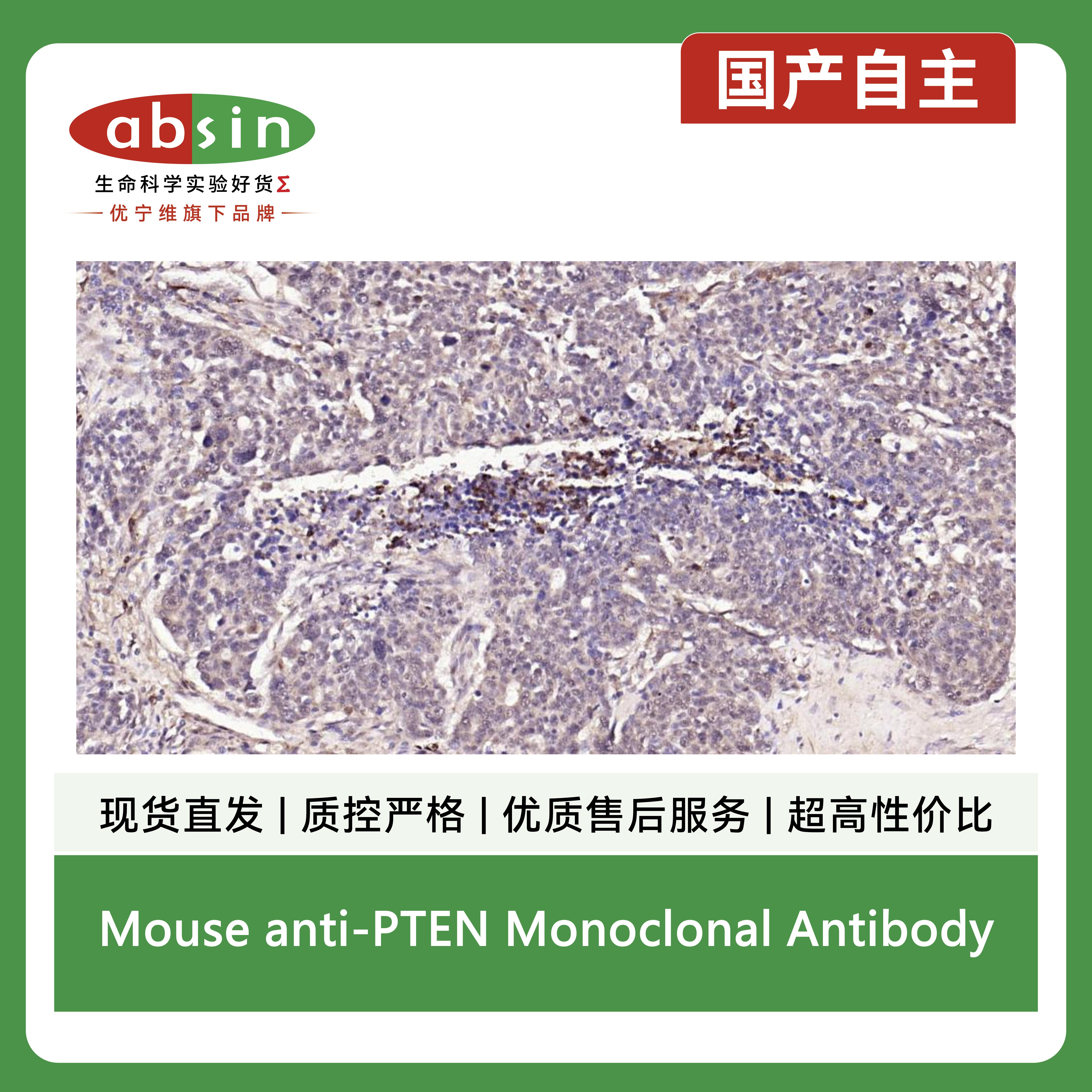 产品细节图片4