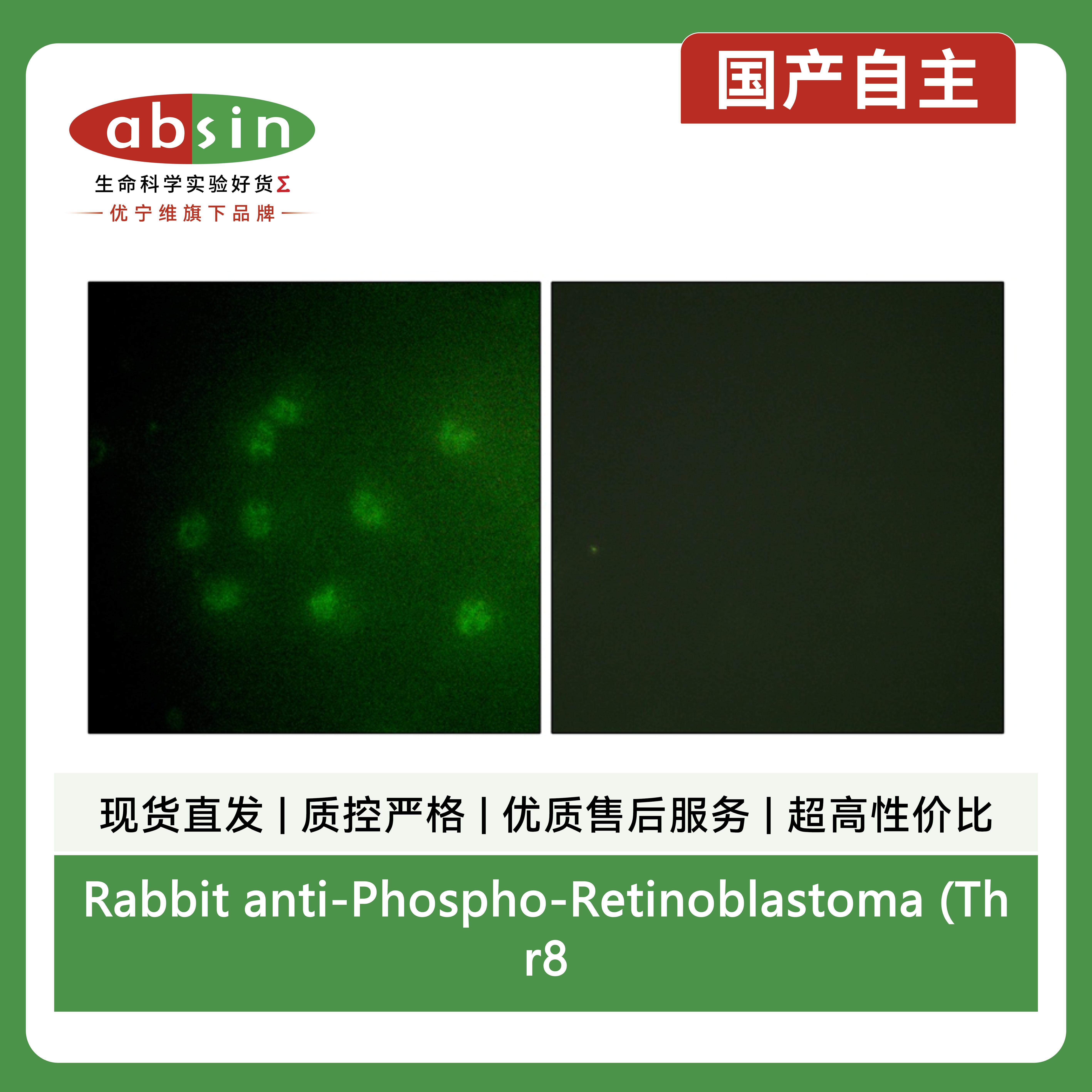 产品细节图片2