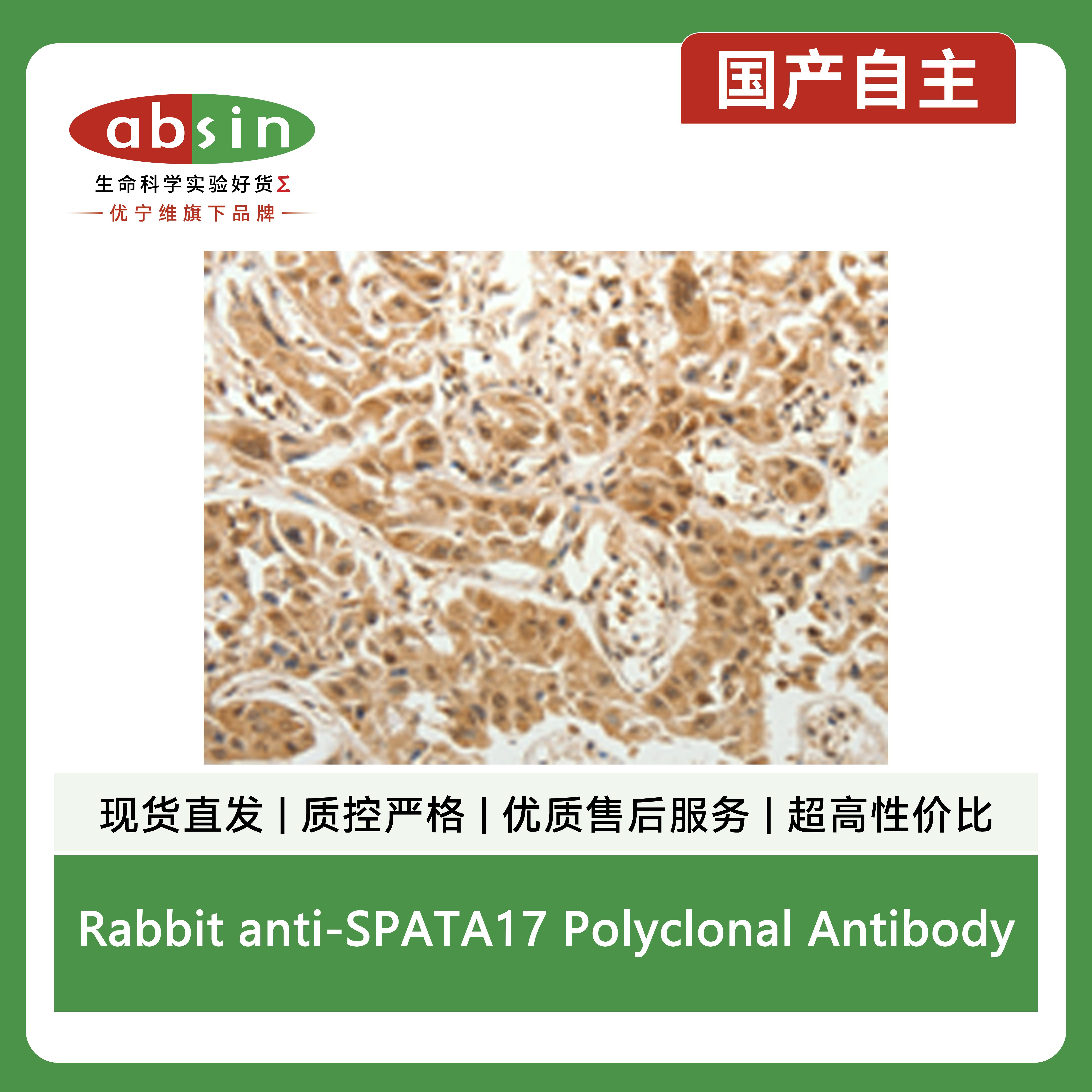 产品细节图片2