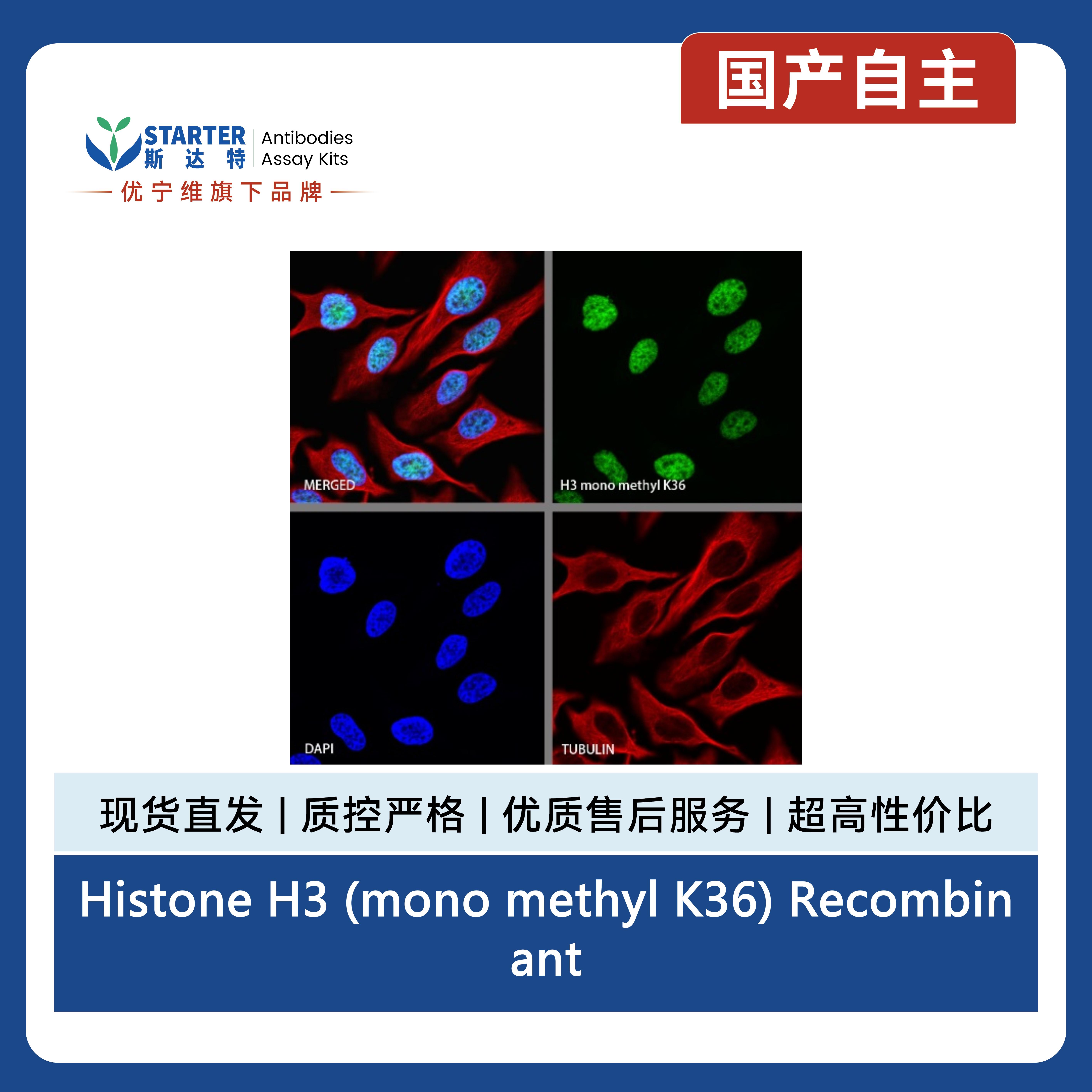 产品细节图片12