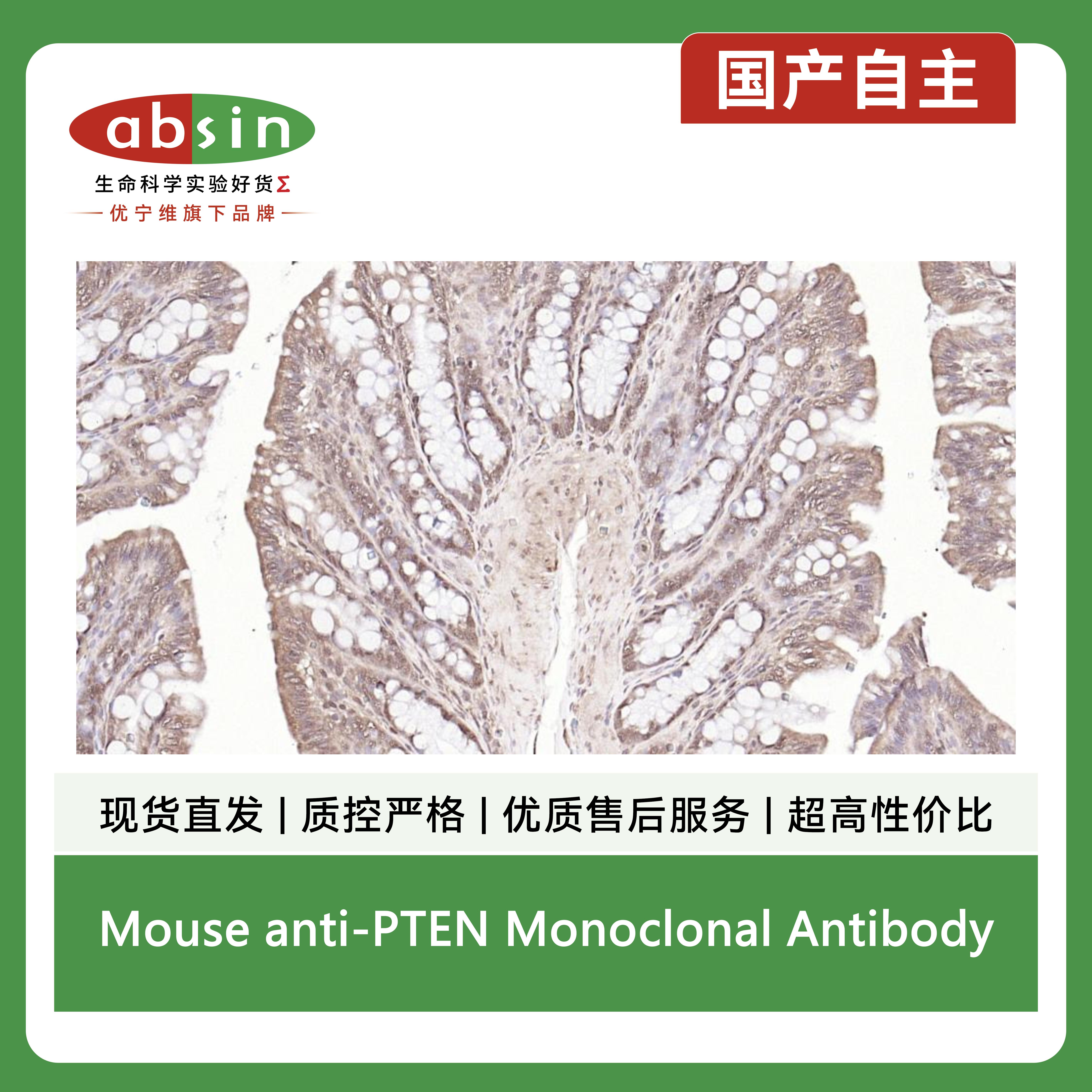 产品细节图片9