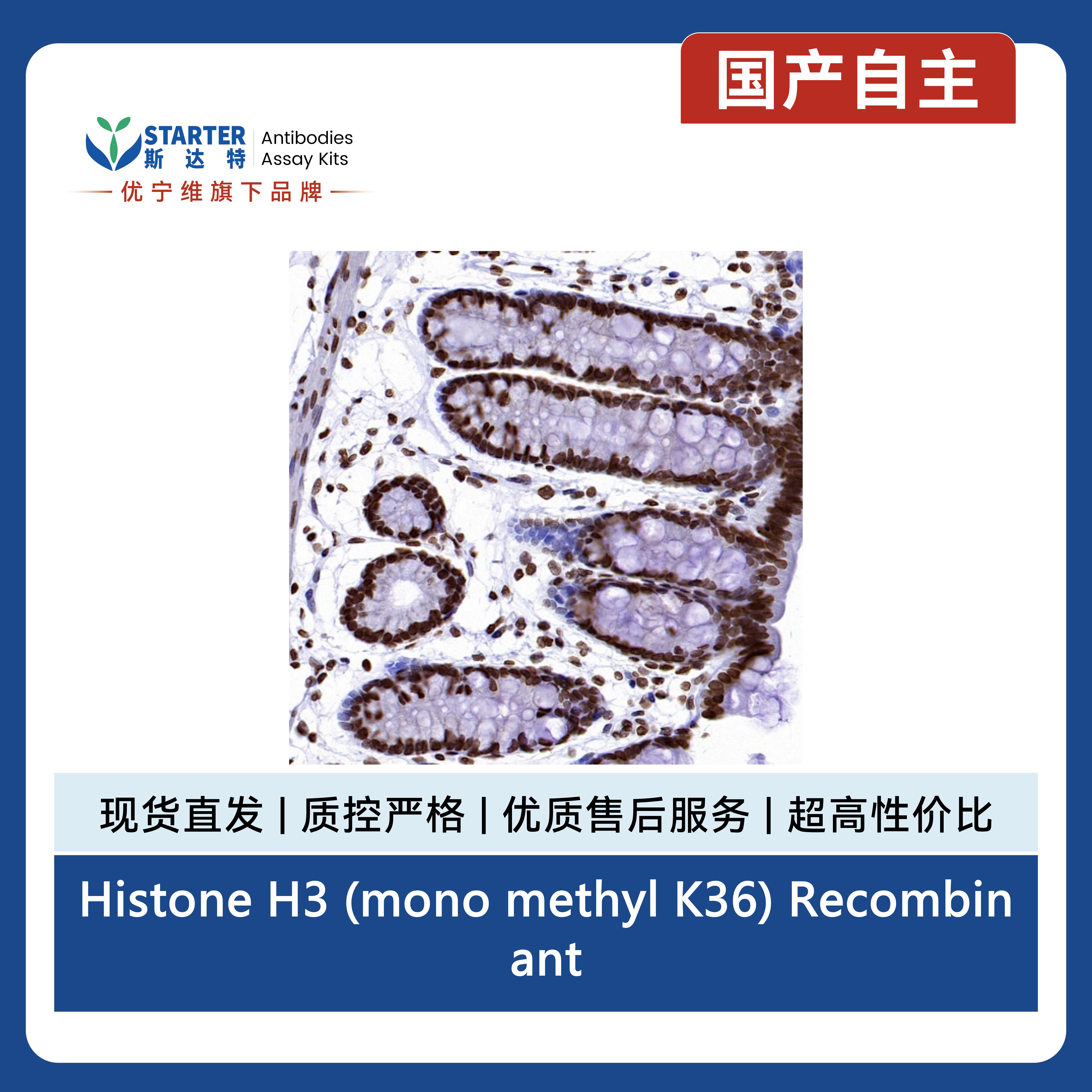 产品细节图片11