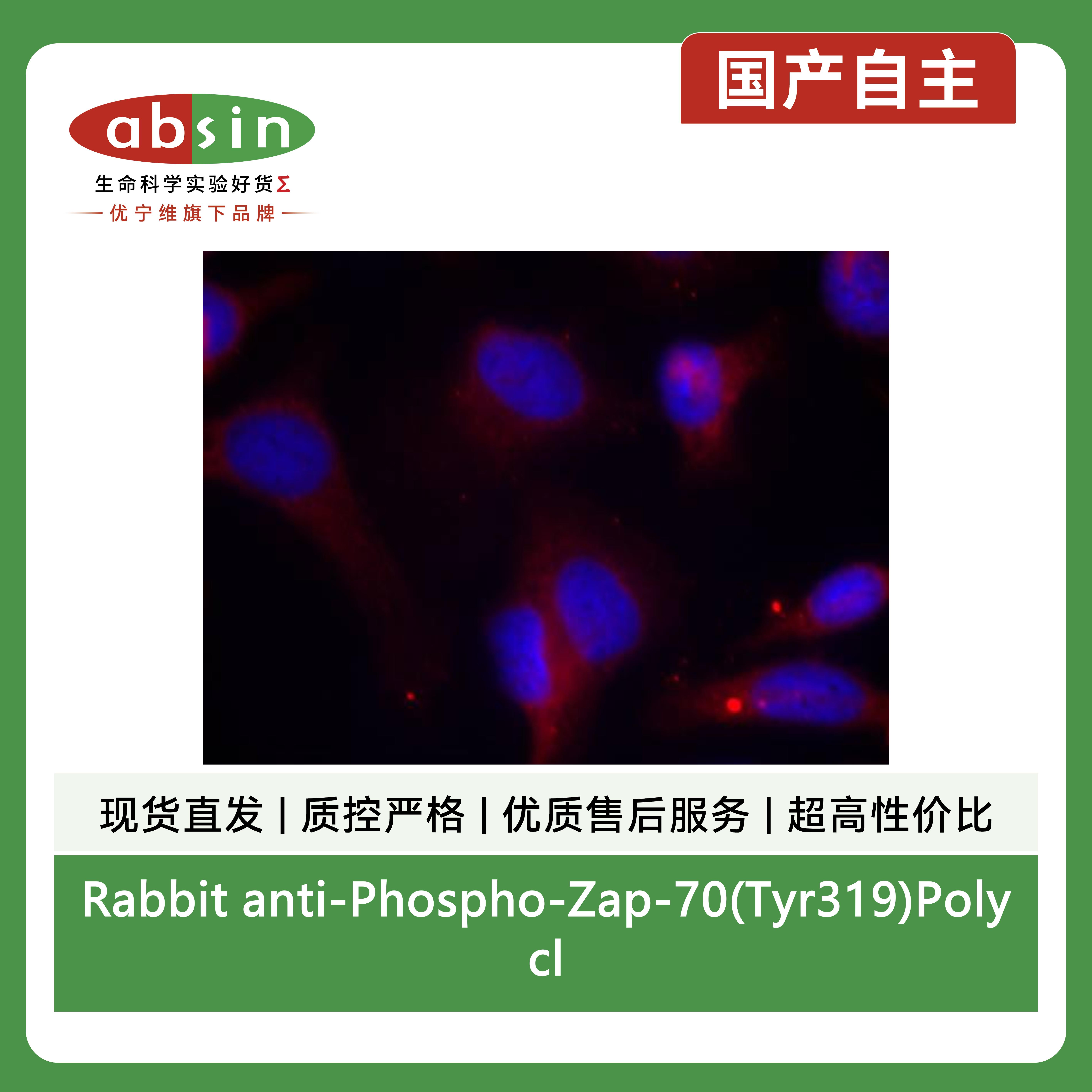 产品细节图片2