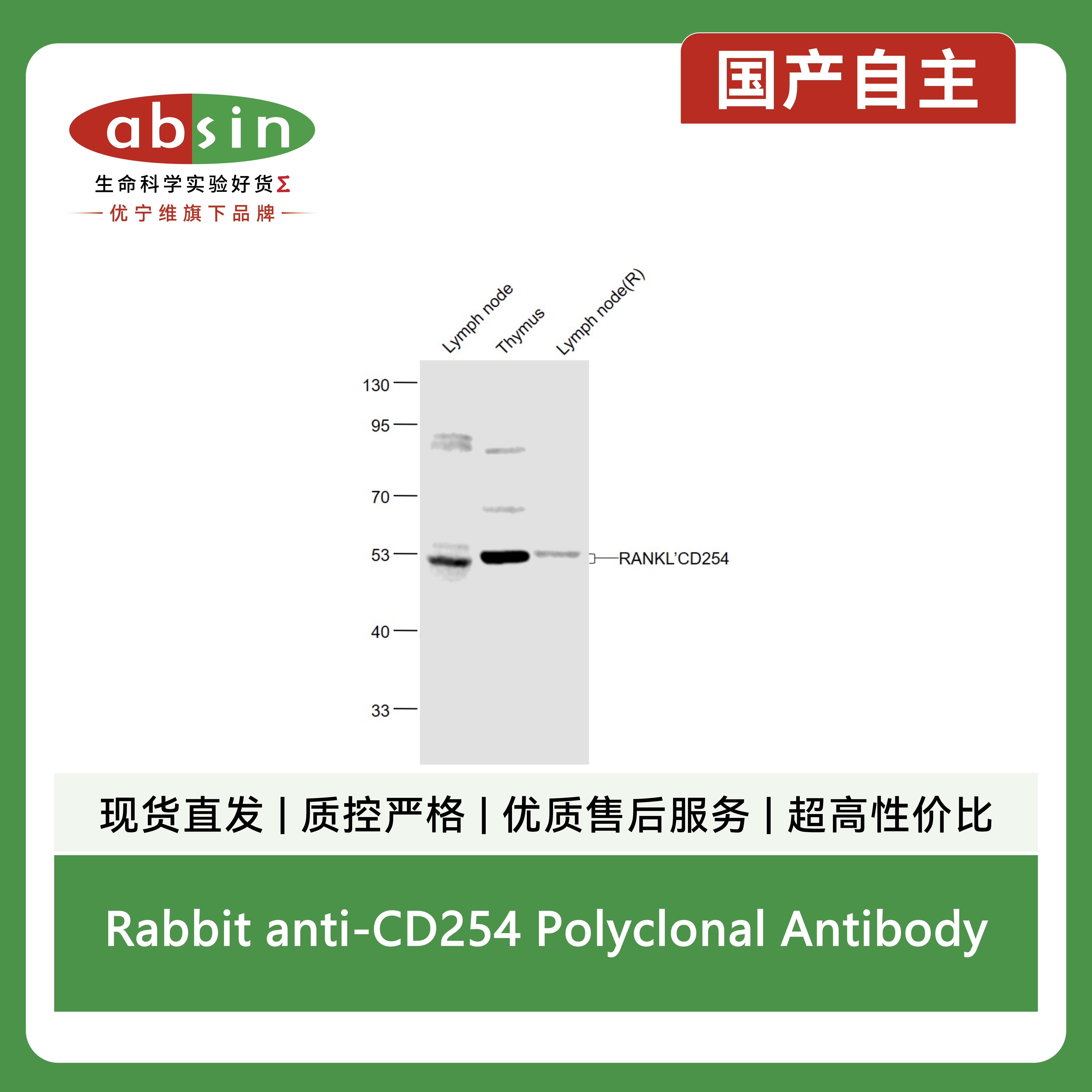 产品细节图片3