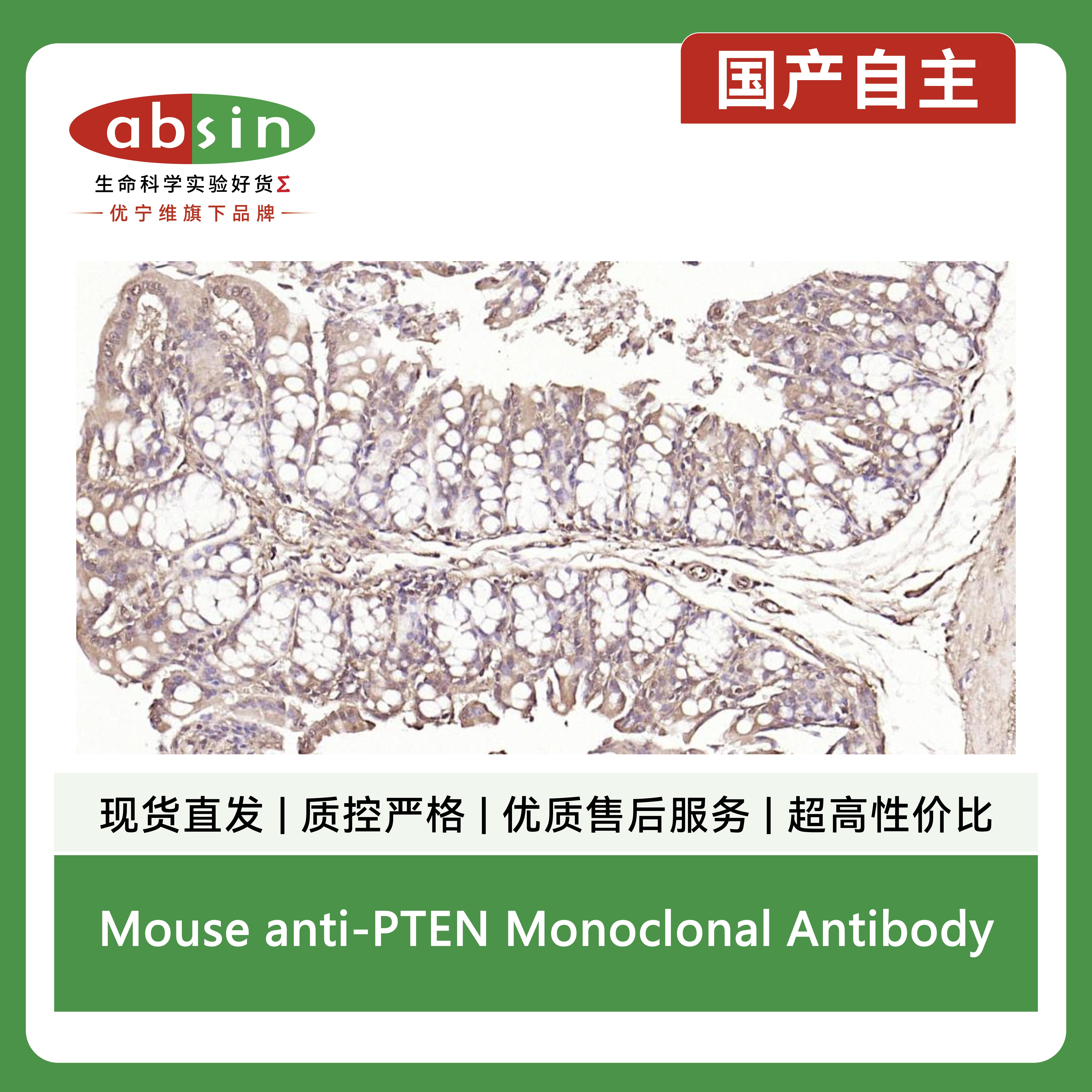 产品细节图片8