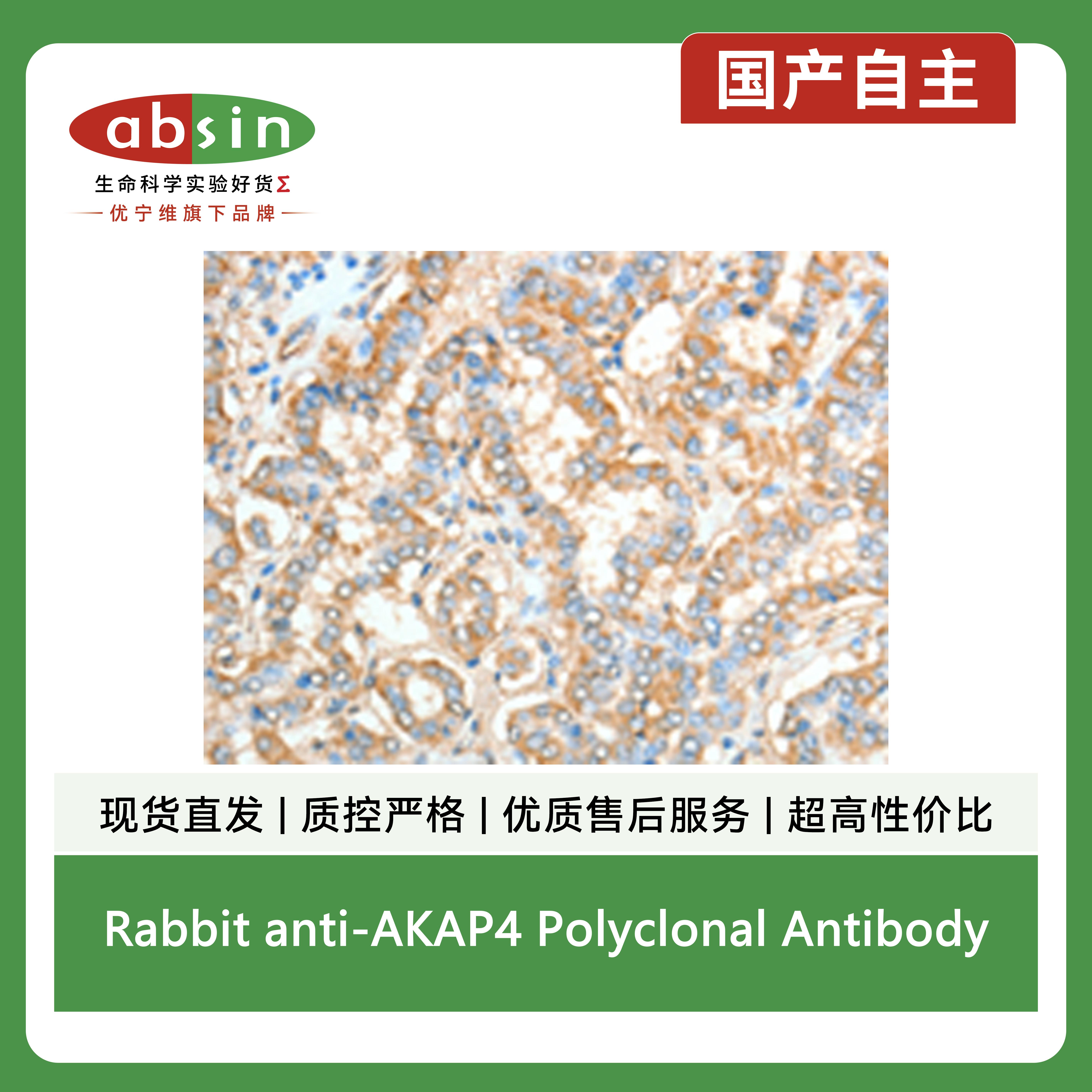 产品细节图片1