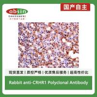 Rabbit anti-CRHR1 Polyclonal Antibody