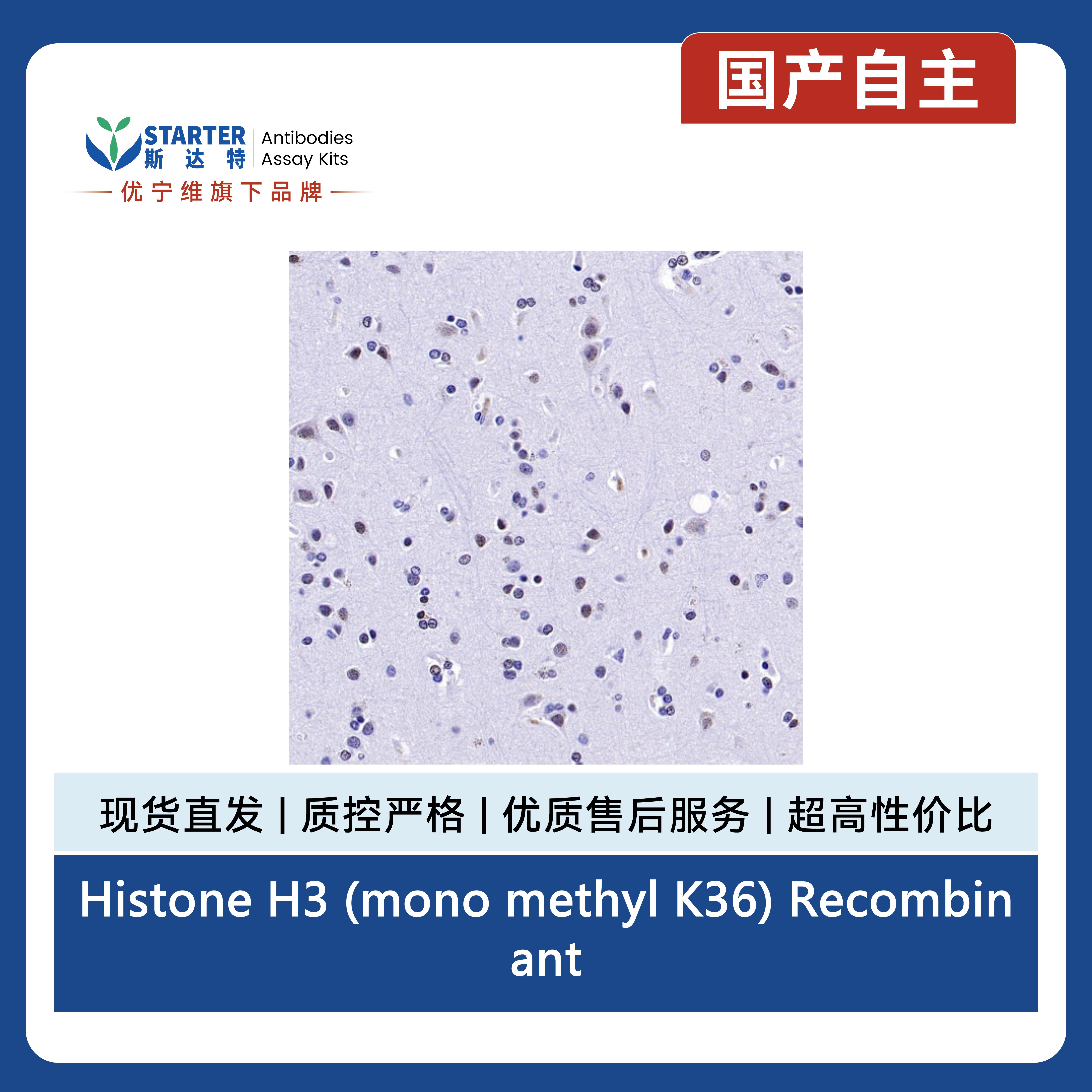 产品细节图片4