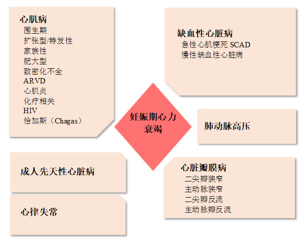 图片预览