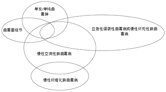 图片预览