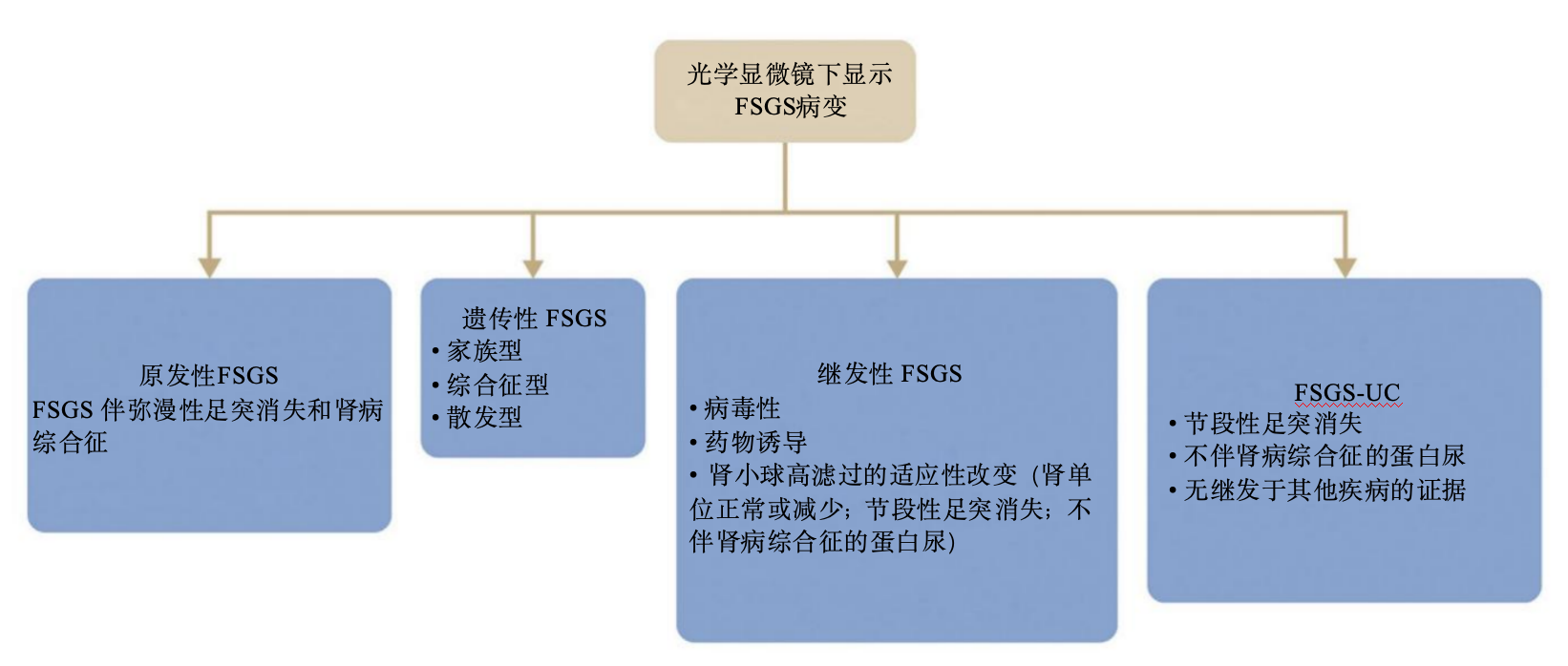 图片预览