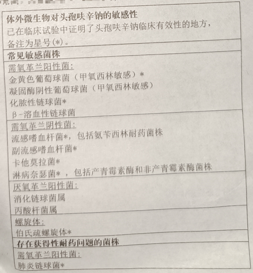 图片预览