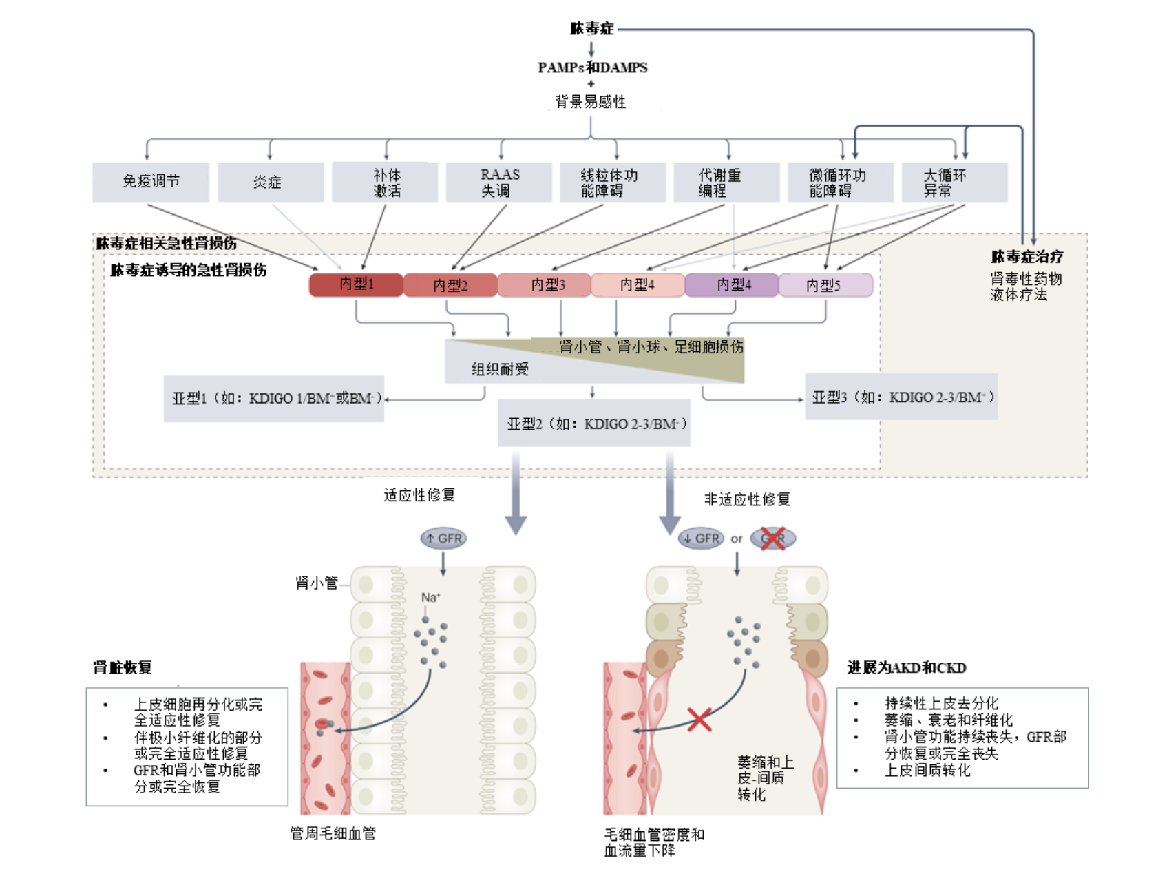 图片预览