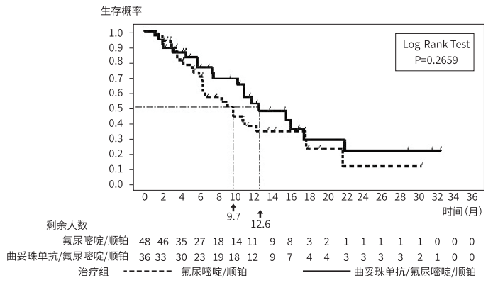 图片预览