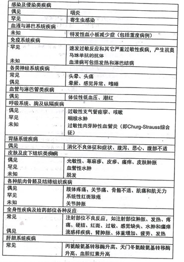 图片预览