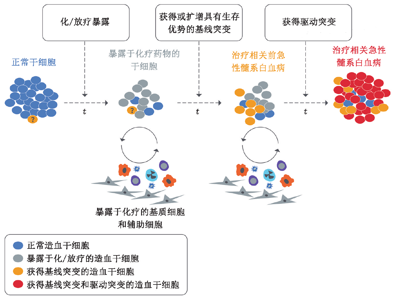 图片预览