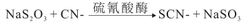 图片预览