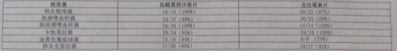 图片预览