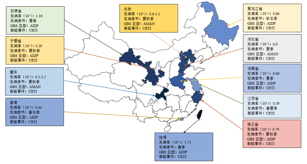 图片预览