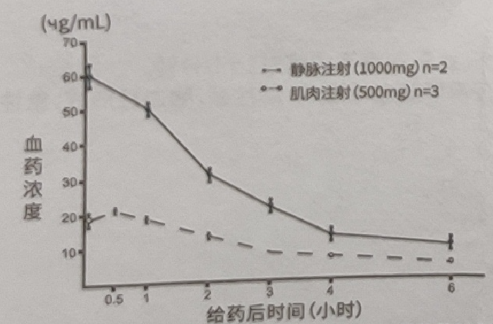 图片预览