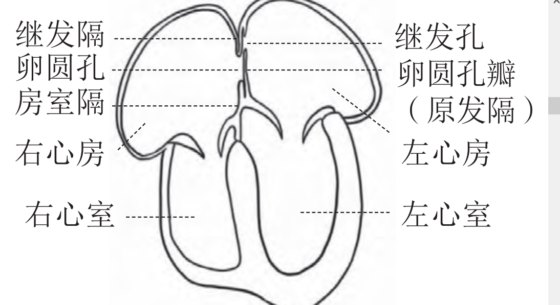 图片预览