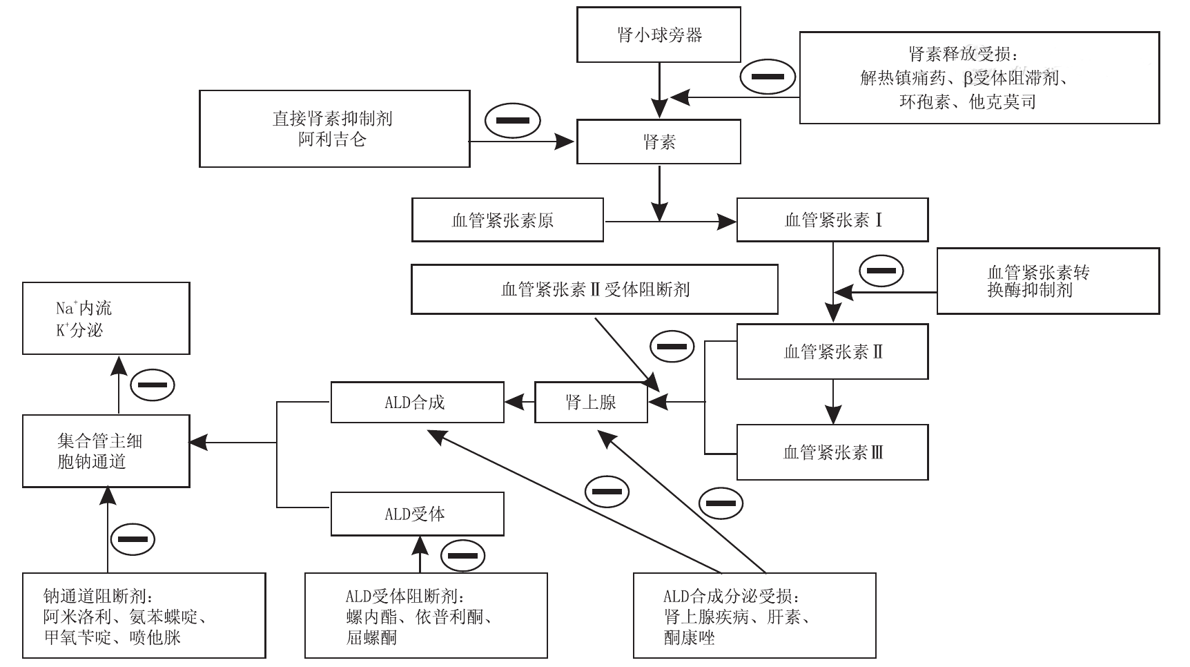 图片预览