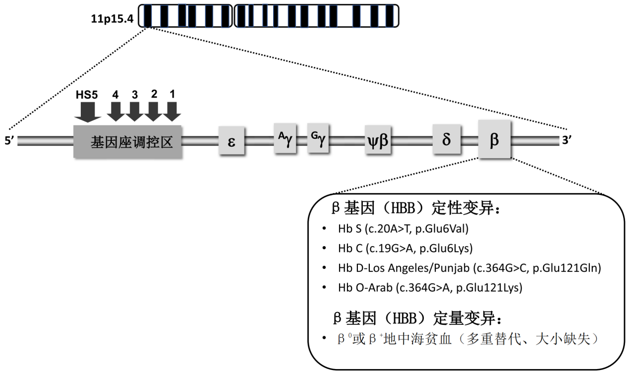 图片预览