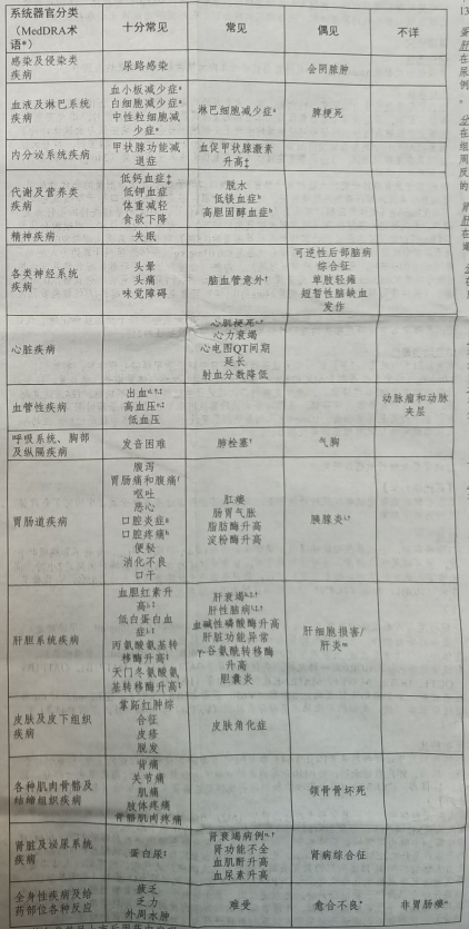 图片预览