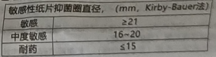 图片预览