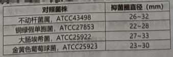 图片预览