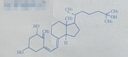 图片预览
