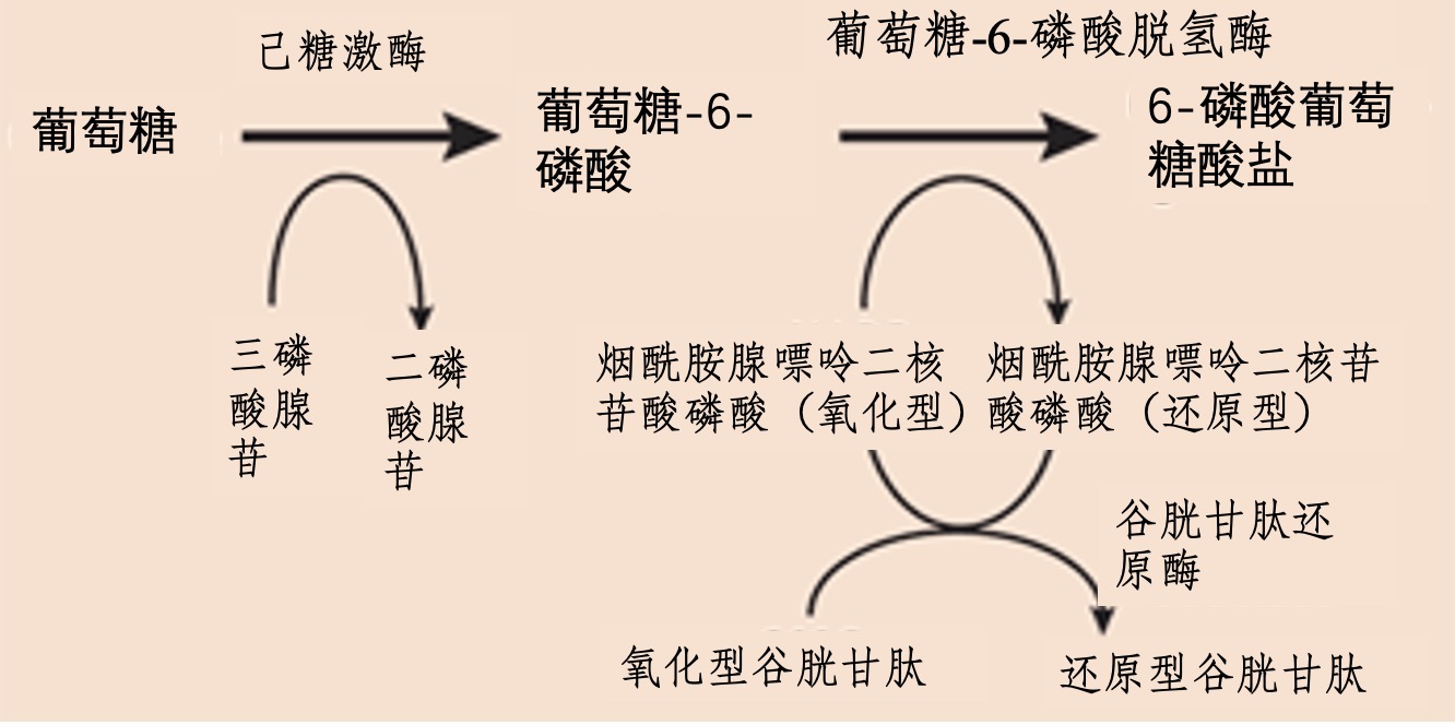 图片预览