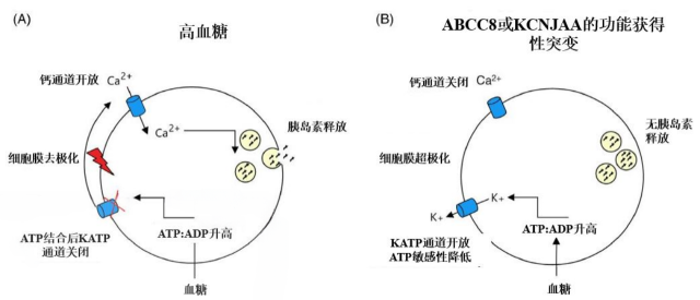 图片预览