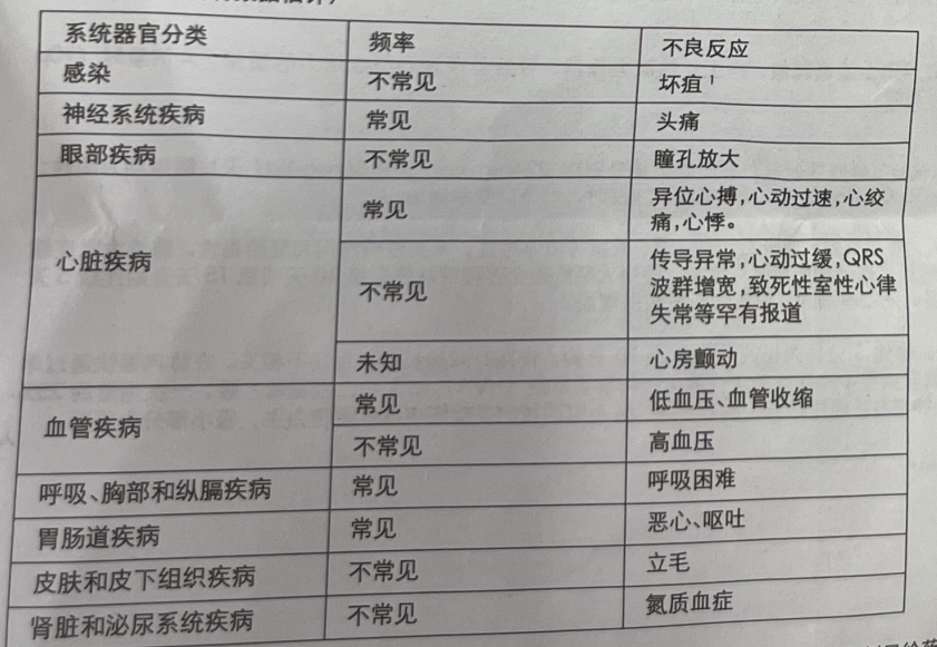图片预览