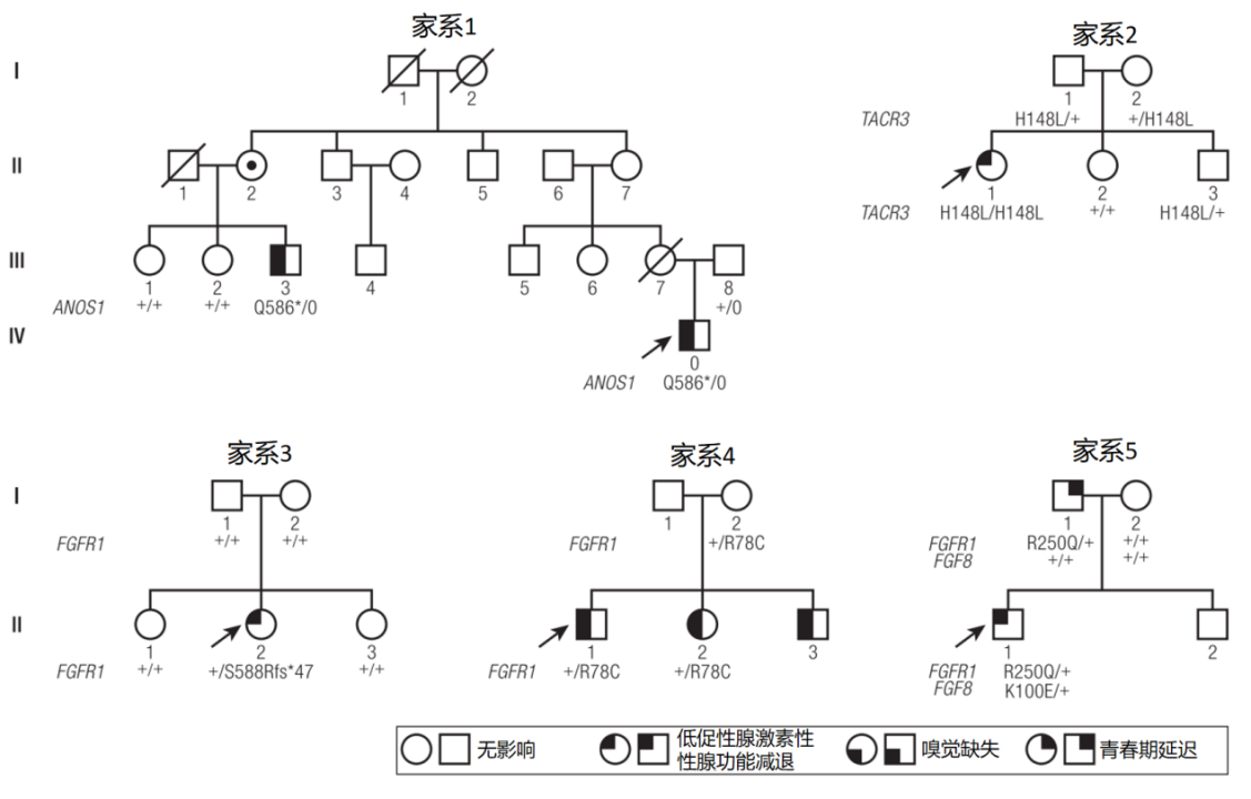 图片预览