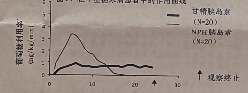 图片预览