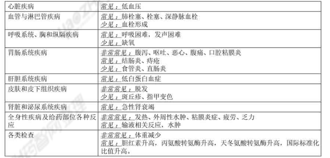 图片预览