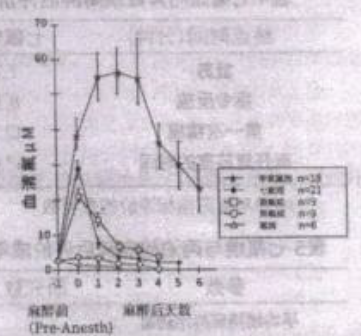 图片预览