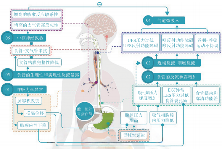 图片预览