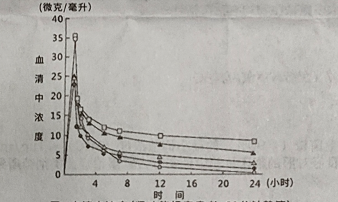 图片预览