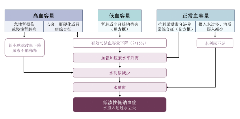 低钠血症