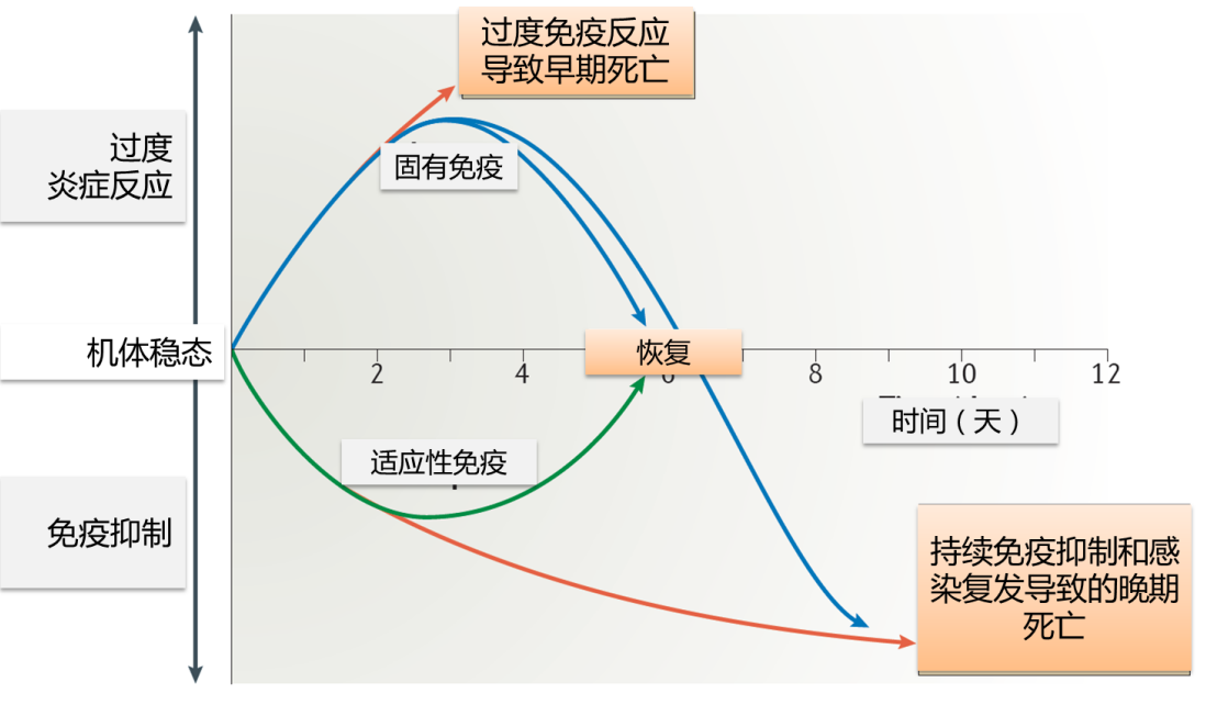 图片预览