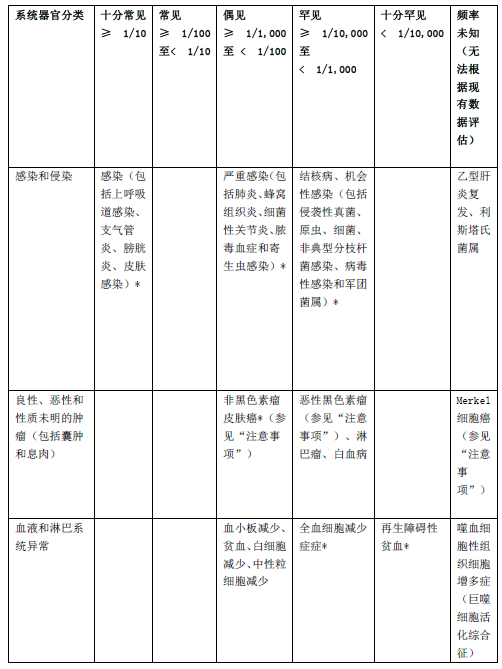 图片预览
