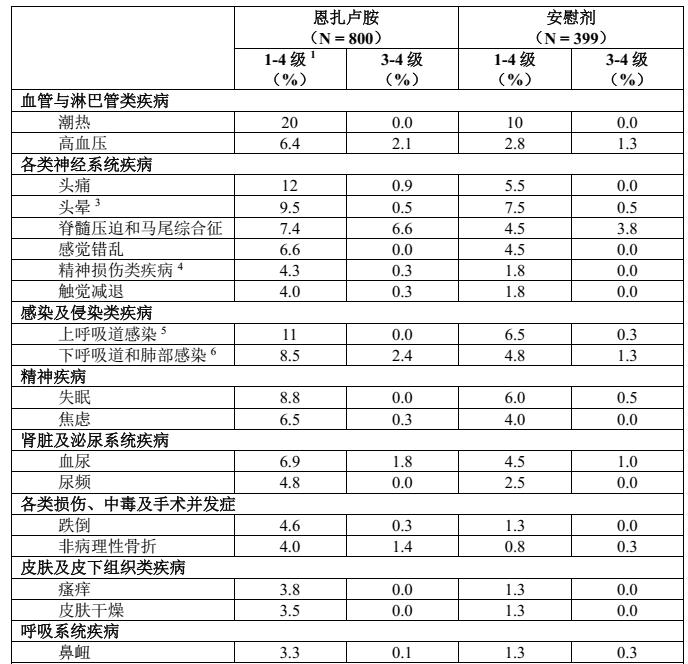 图片预览