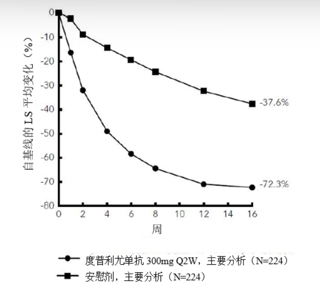 图片预览