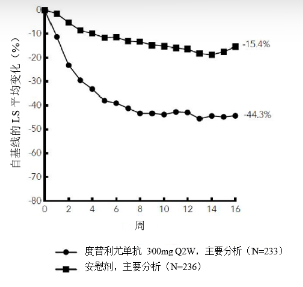 图片预览