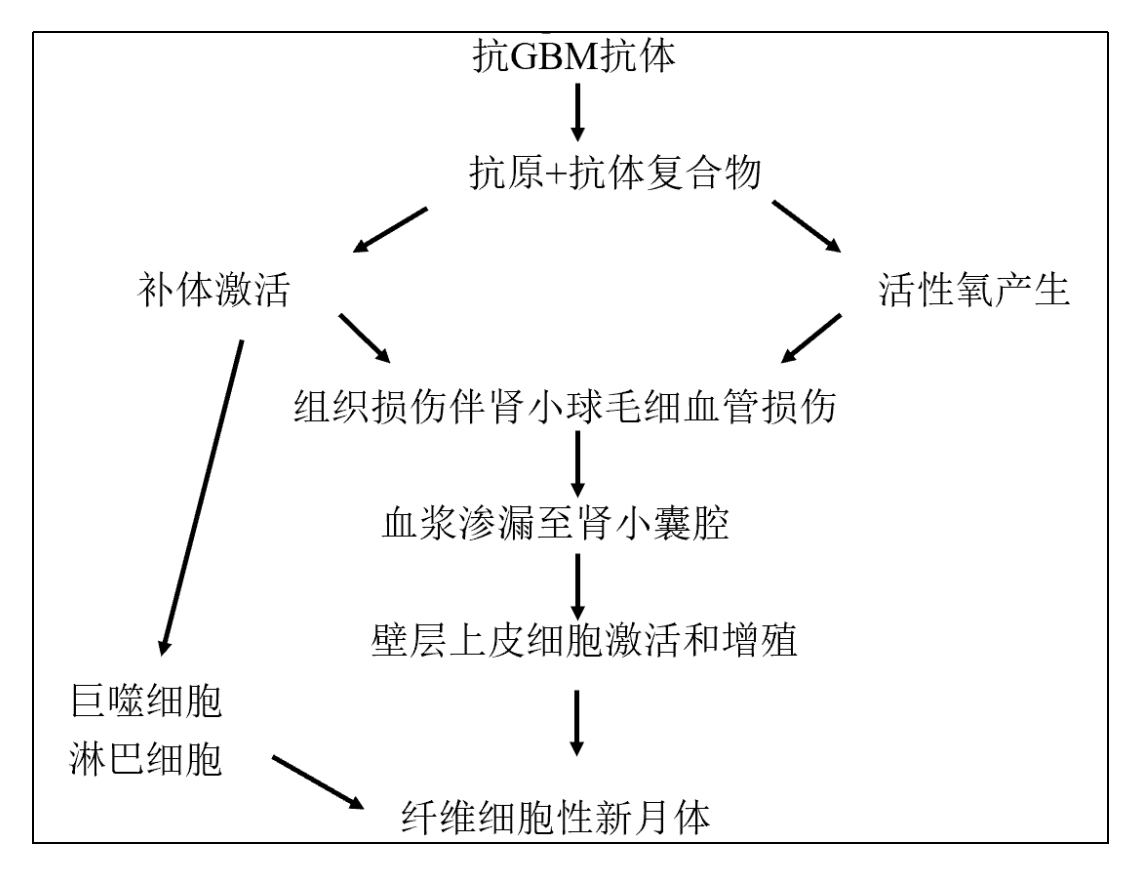 图片预览