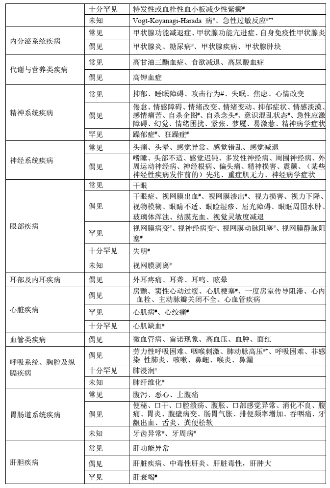 图片预览