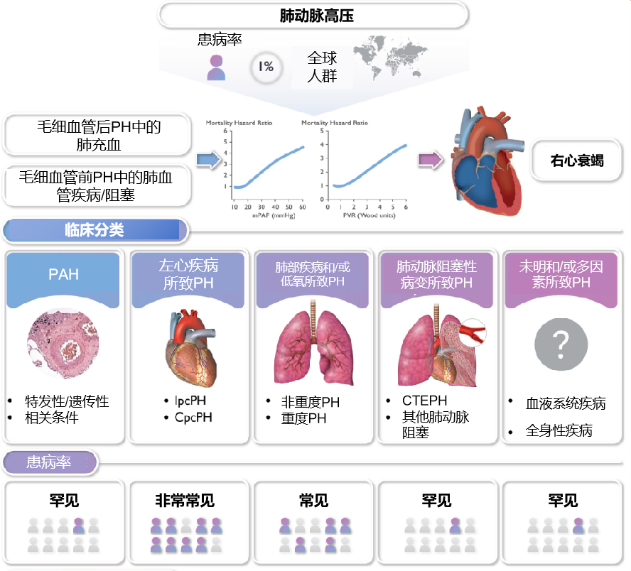 图片预览